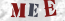 Güvenlik Resmi