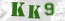 Güvenlik Resmi