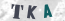 Güvenlik Resmi