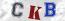 Güvenlik Resmi