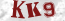 Güvenlik Resmi