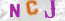 Güvenlik Resmi